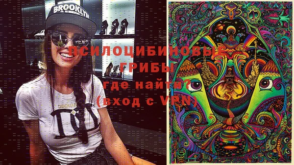a pvp Абинск