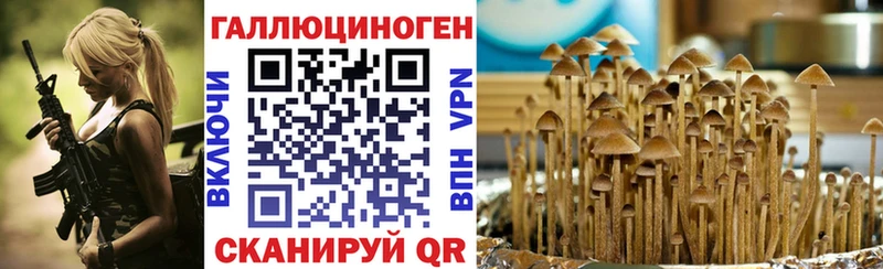 Галлюциногенные грибы Psilocybe  Нижняя Тура 
